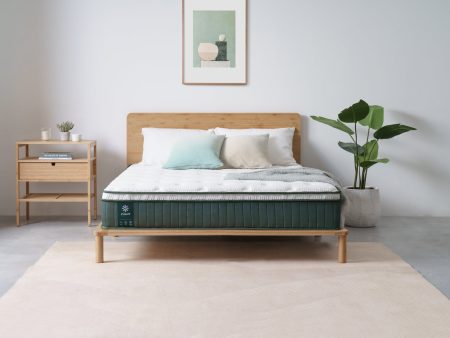 Chiro Elite Pocket Spring Mattress Online Sale