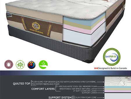 14  Gel Memory Foam Euro Top Mattress- Medium Firm- Model Dream O Pedic Online now